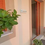 Petani 3* Vóvikes